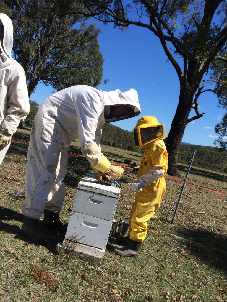Nabiac Beekeeping