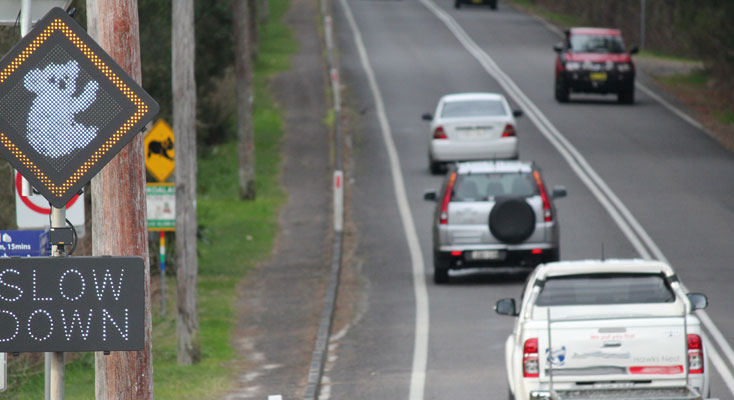 Over a 30 minute period, News Of The Area noted that 8 out of 10 East bound vehicles activated the Koala ‘Slow Down’ sign.