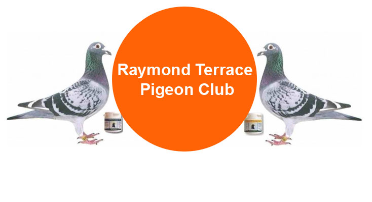 Raymond Terrace Pigeon Club