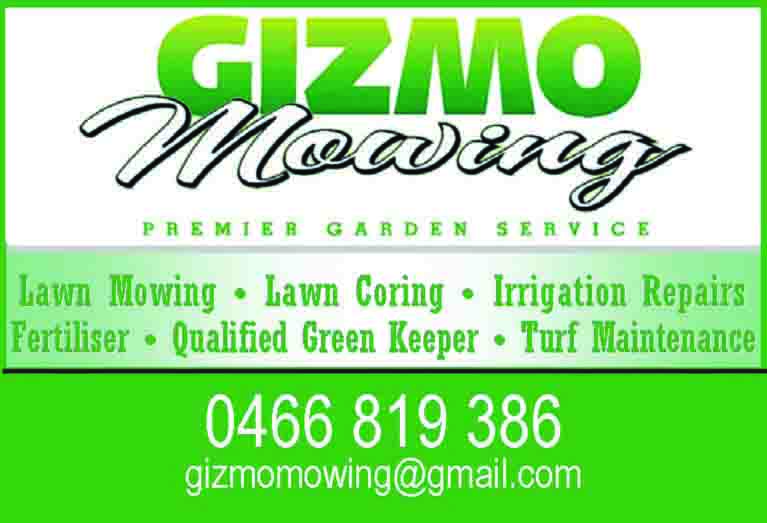 Gizmow Mowing