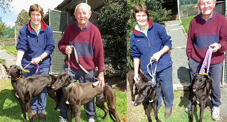 GREYHOUND OWNERS: Debbie Robinson and John Loughran with their much loved greyhounds Oscar and Little One.
