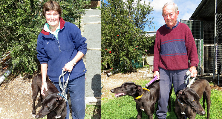 OWNER: Debbie Robinson with her greyhound Oscar.(left)OWNER: John Loughran with his greyhounds Oscar and Little One.(right)