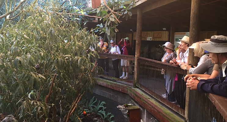 The group at the Blackbutt Reserve.