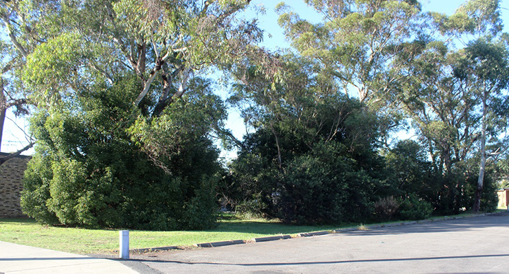 hawks-nest-first-nat-2