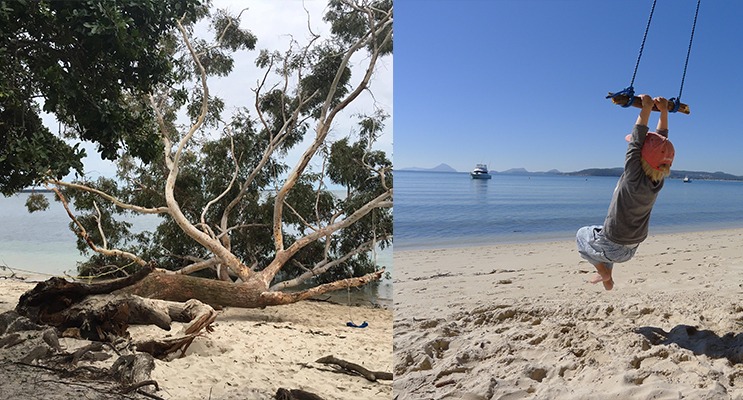 The majestic old gentleman lays motionless on the Wanda Beach Strip. (Photo Courtesy of Mark Faragher) (left) -Childhood memories. (photograph courtesy of Emma Bowen) (right)