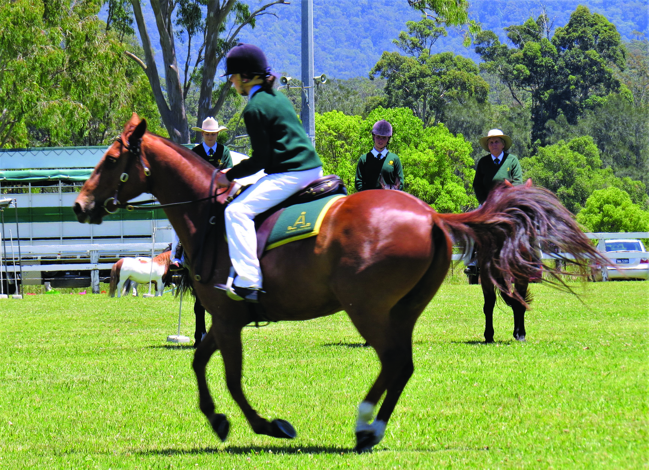 COMPETITION: Horse events in the main arena