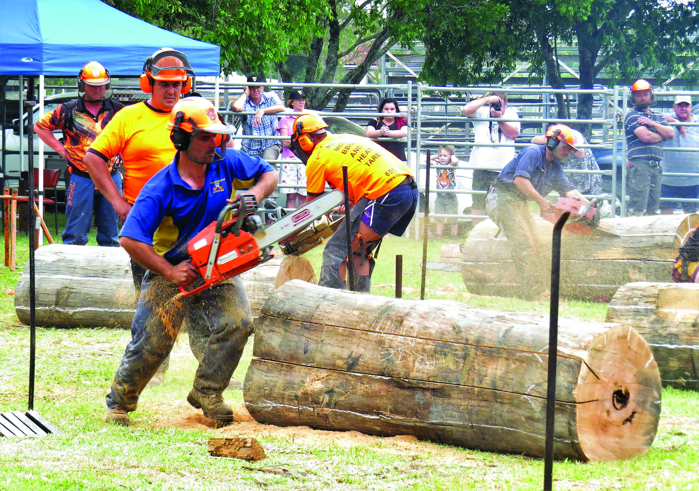 COMPETITION: Dust flies in the chainsaw race