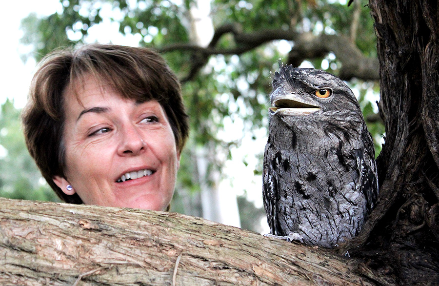 WILDLIFE CARER: Teresa Mort with a Tawny Frogmouth in her care.