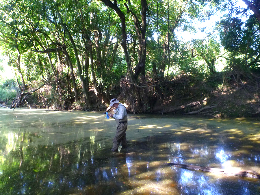 Steve Jacobs, Scientist with the NSW Office of Environment and Heritage, takes samples of the algal blooms found in the Karuah catchment.
