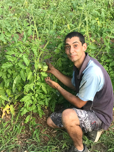 Daniel Marquez with one of his beloved Tomato vines.
