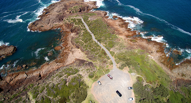 Mark your calendar for the opening of the new whale watching path at Noamunga Reserve, Boat Harbour. Photo by Steve Elgar