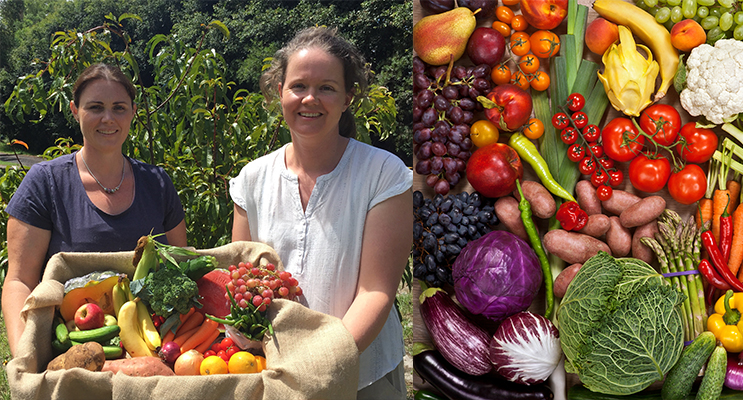 Kristy Arnall and Madeleine Elsegood. Photo by Jo Finn (left) Organic Fruit and Vegetables are delivered weekly to local residents. Photo supplied