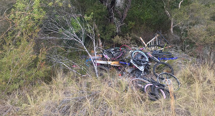 The Worimi Local Aboriginal Land Council’s Green Team is clearing illegal dumping.