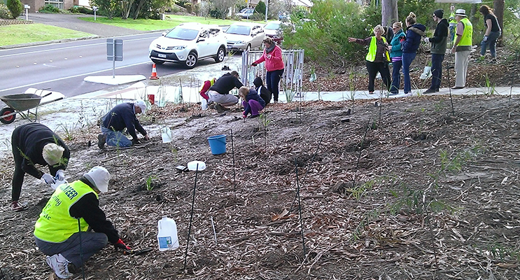 2400 Native trees and grasses have been planted in the area. Photos supplied