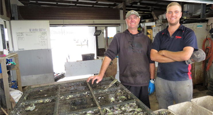 Family Business: Stephen and Brock Cole at Cole Bros Oysters.