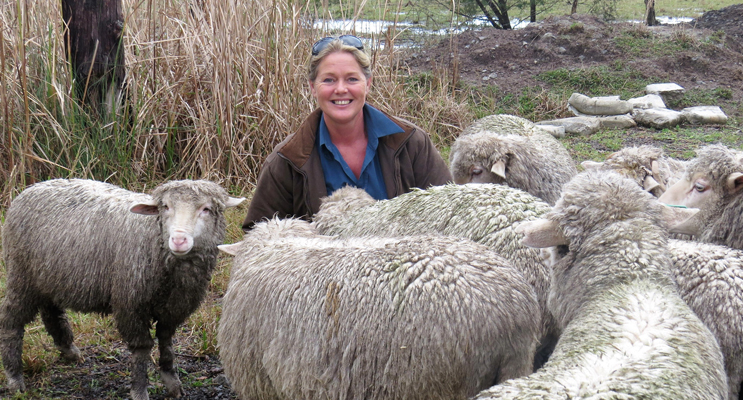 Chemical Free Farming: Julie Steepe from Lucy Land Merino Farm.
