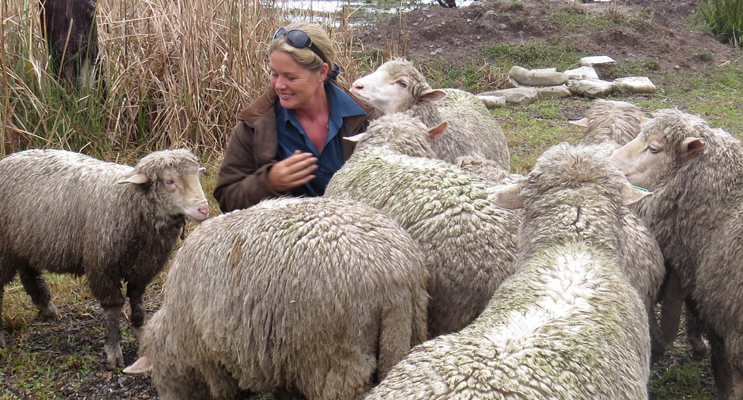 Julie Steepe from Lucy Land Merino Farm.