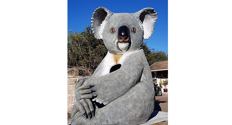 The Big Koala is located roadside at the Mount View Motel.  