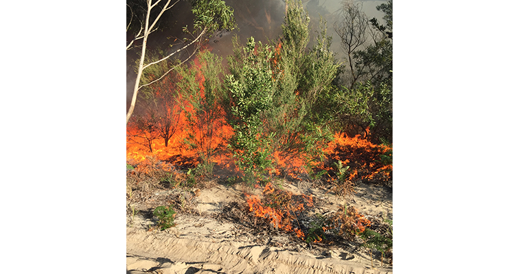 Be alert for back burning areas as the Rural Fire Brigade prepare for summer. 