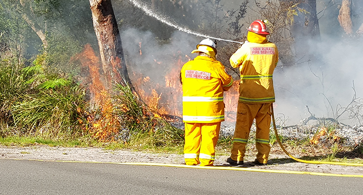 HAWKS NEST: Hazard Reduction Burn.
