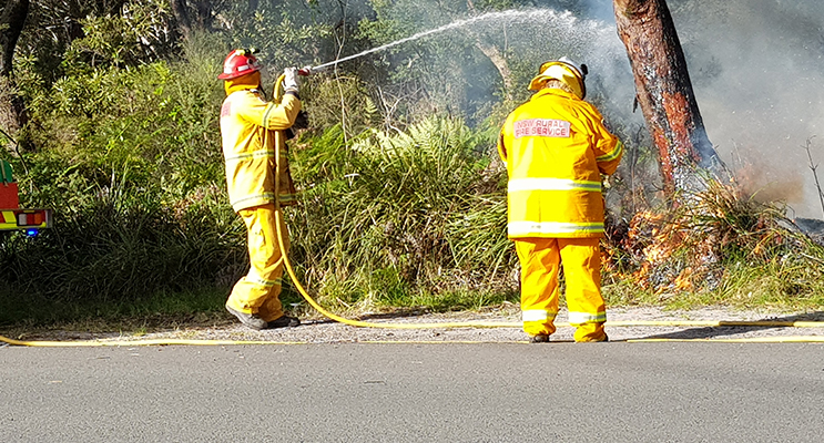 HAWKS NEST: Hazard Reduction Burn.