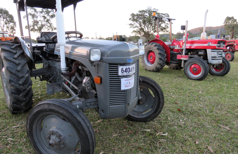 The vintage tractors on display at Bulahdelah Showground. 