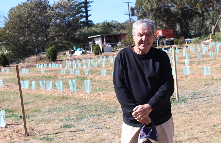 Gerry Mohan overlooking the newly planted koala trees at the Anna Bay property.