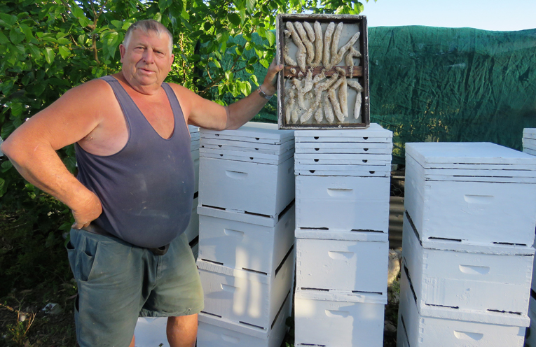 Backyard Bees: Gary Haynes has been producing honey for 30 years. 