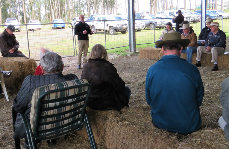 National Livestock Reporting Service operations manager, Damon Holmes, said the market was on the rise.