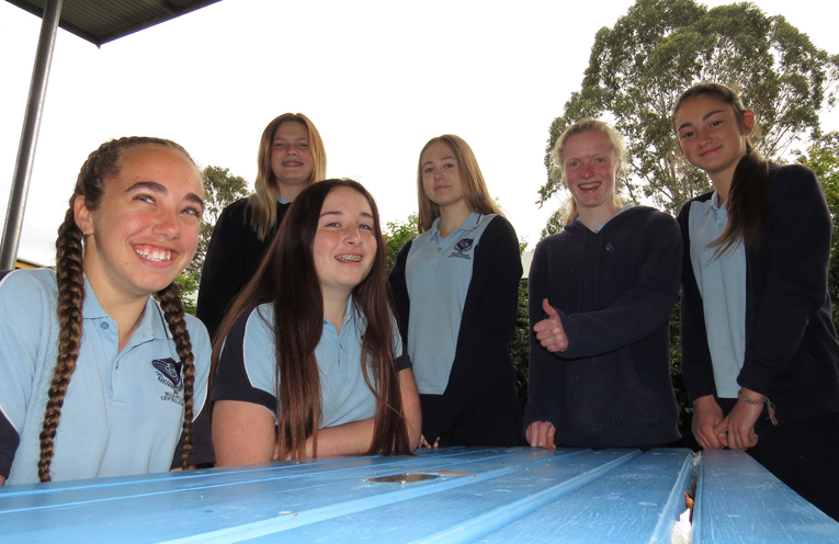 Tahlia Mancini, Anjoli Luxon, Natasha Veith, Taylah Smith, Bianca Clarke and Katerina Poniris have qualified for their HSC. 