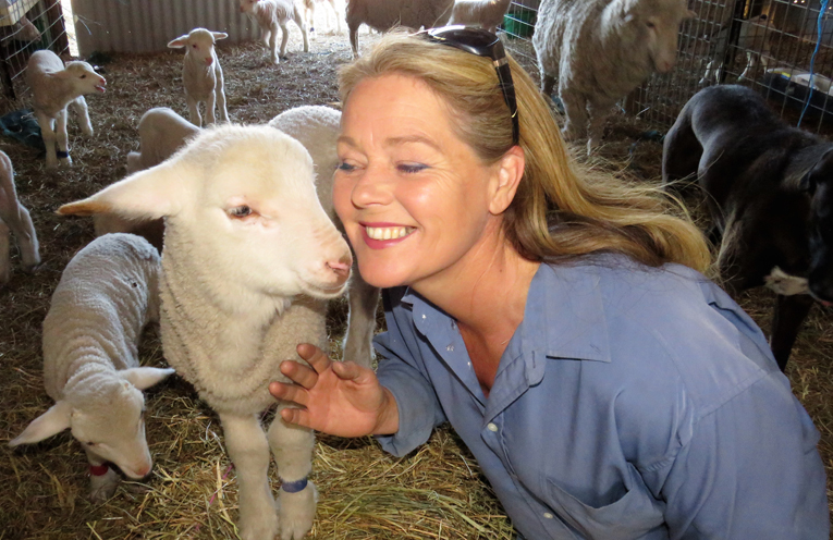 Ethical Farming: Julie Steepe with Verity the lamb at Lucy Land Merino Farm.