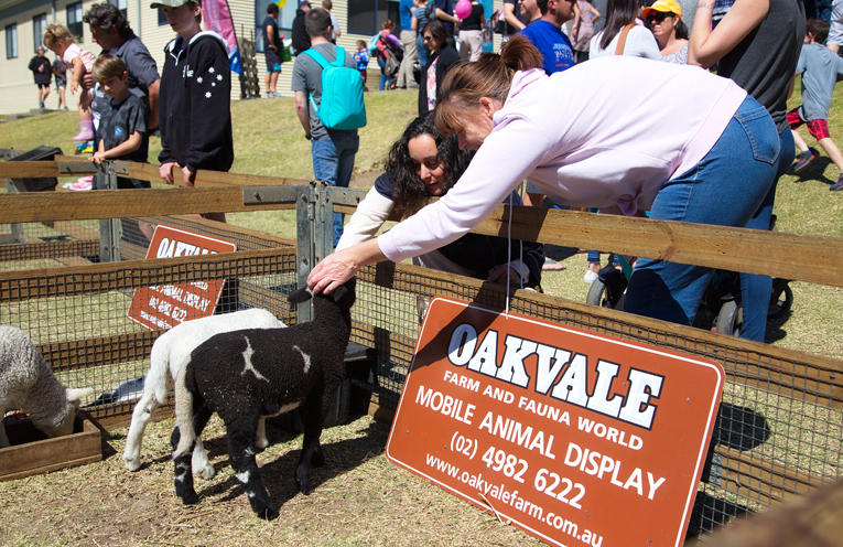 Oakvale farm animals. Photo by Pete Neville