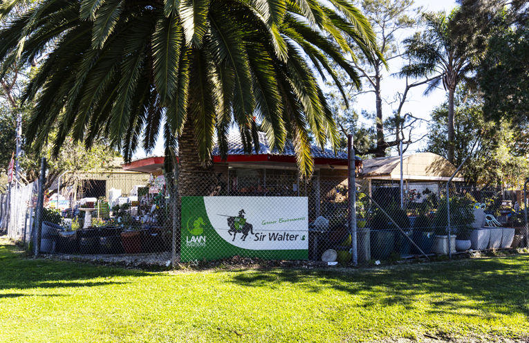 PROP_Ray White Tea Gardens_PY3