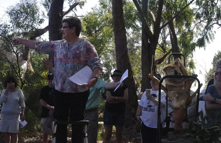 Kathy Brown of Soldiers Point Salamander Bay Landcare Group addressing the crowd.