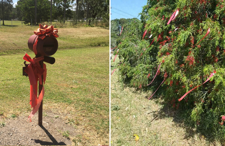 Red ribbons adorn homes and properties in Williamtown and Salt Ash.(left) The giant bush in the centre of the roundabout at Paul’s Corner Salt Ash is covered in red ribbons.(right)