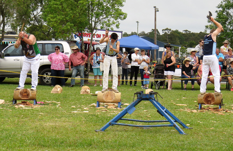 Woodchop Competition.