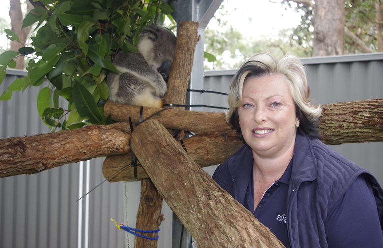 Simone with Tolley at the new Koala Sanctuary at One Mile Beach. Photo by Marian Sampson.