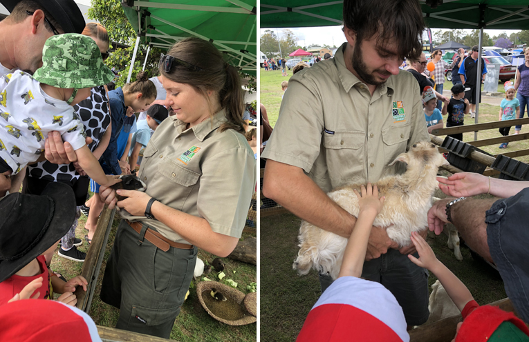 The mini petting zoo was a hit with young and old alike. (left) There were baby animals galore at the petting zoo for everyone to meet. (right)