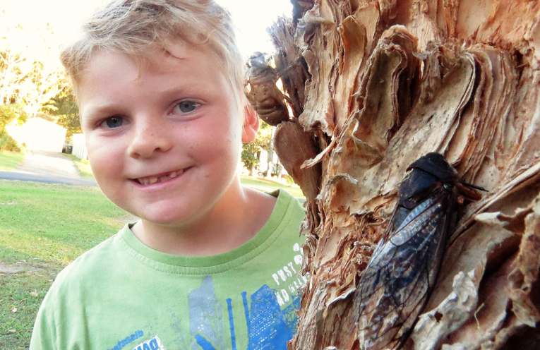 Zackery Moran said the trees are teeming with cicadas this year. 