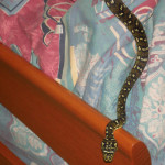 Tea Gardens snake in ladys bed