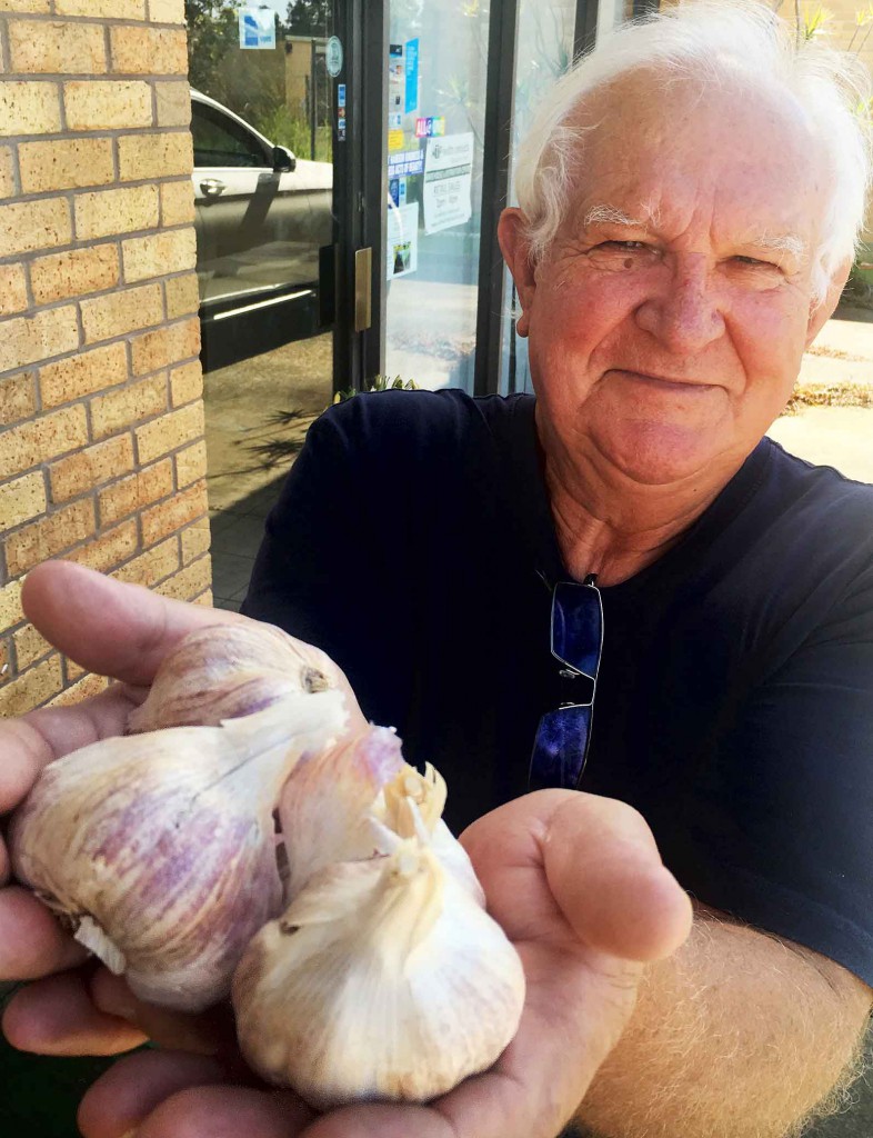 Jan Goroncy has received a Gold Award for this garlic.