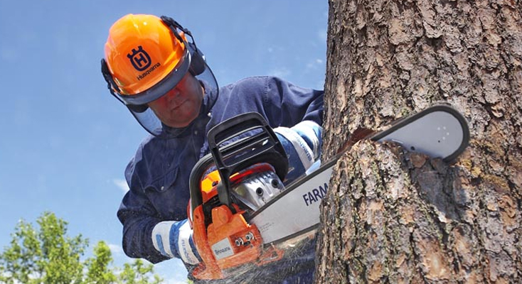 Man cutting tree using chainsaw