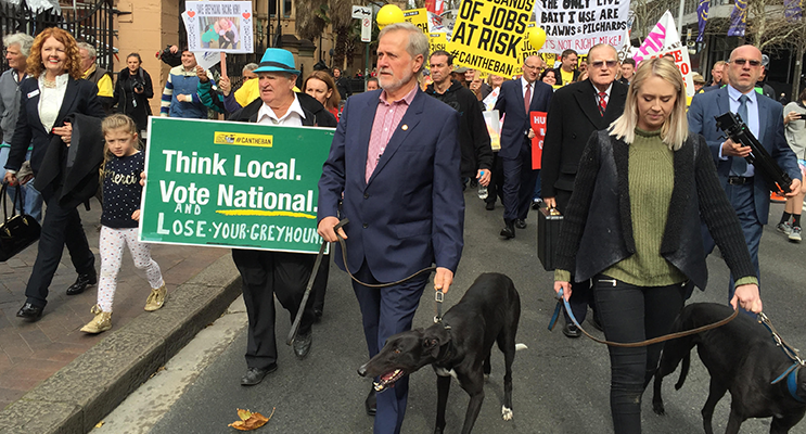Robert Borsak leading a recent protest march with a prized greyhound.