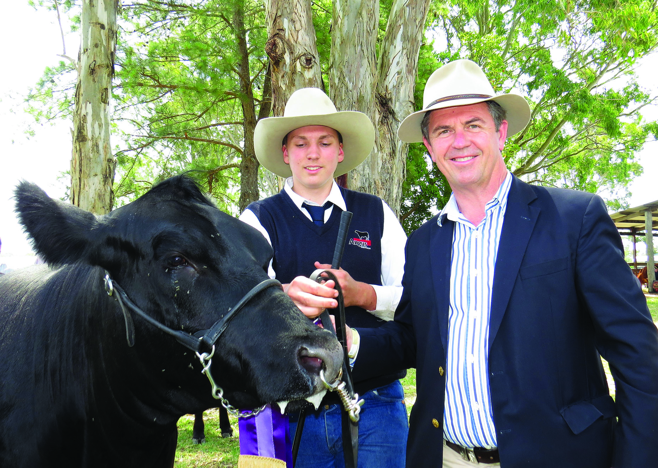 PRIZE WINNER: Federal Member for Lyne Dr David Gillespie presents a ribbon in the Supreme Beef Exhibit to ‘McLaren Royaline Jedda’ a black Angus cow exhibited by Alistair McLaren 