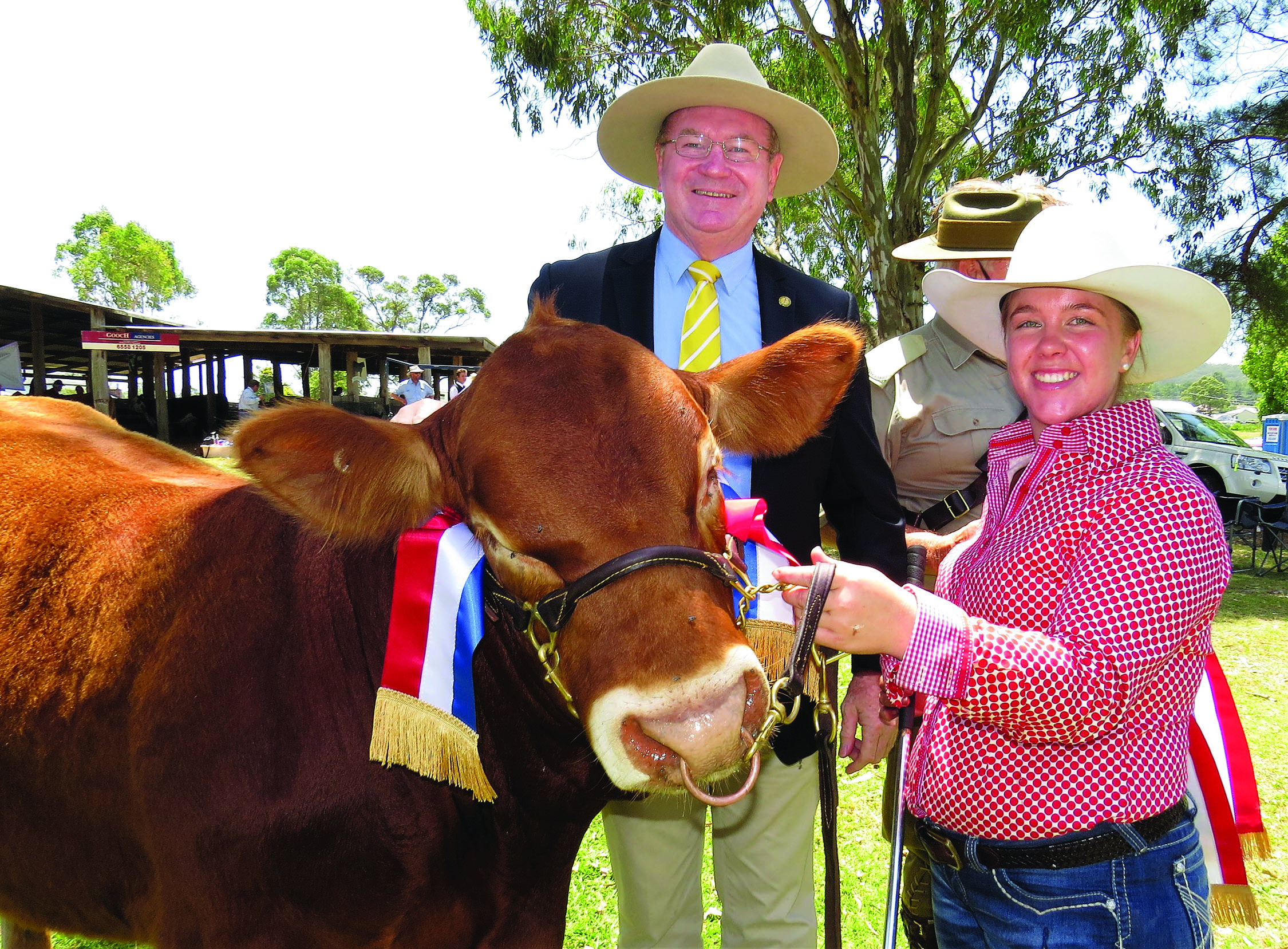 PRIZE WINNER: Member for Myall Lakes Stephen Bromhead presents a ribbon in the Reserve Beef Exhibit to ‘Warrigal Black Caviar’ an apricot Limousin Heifer