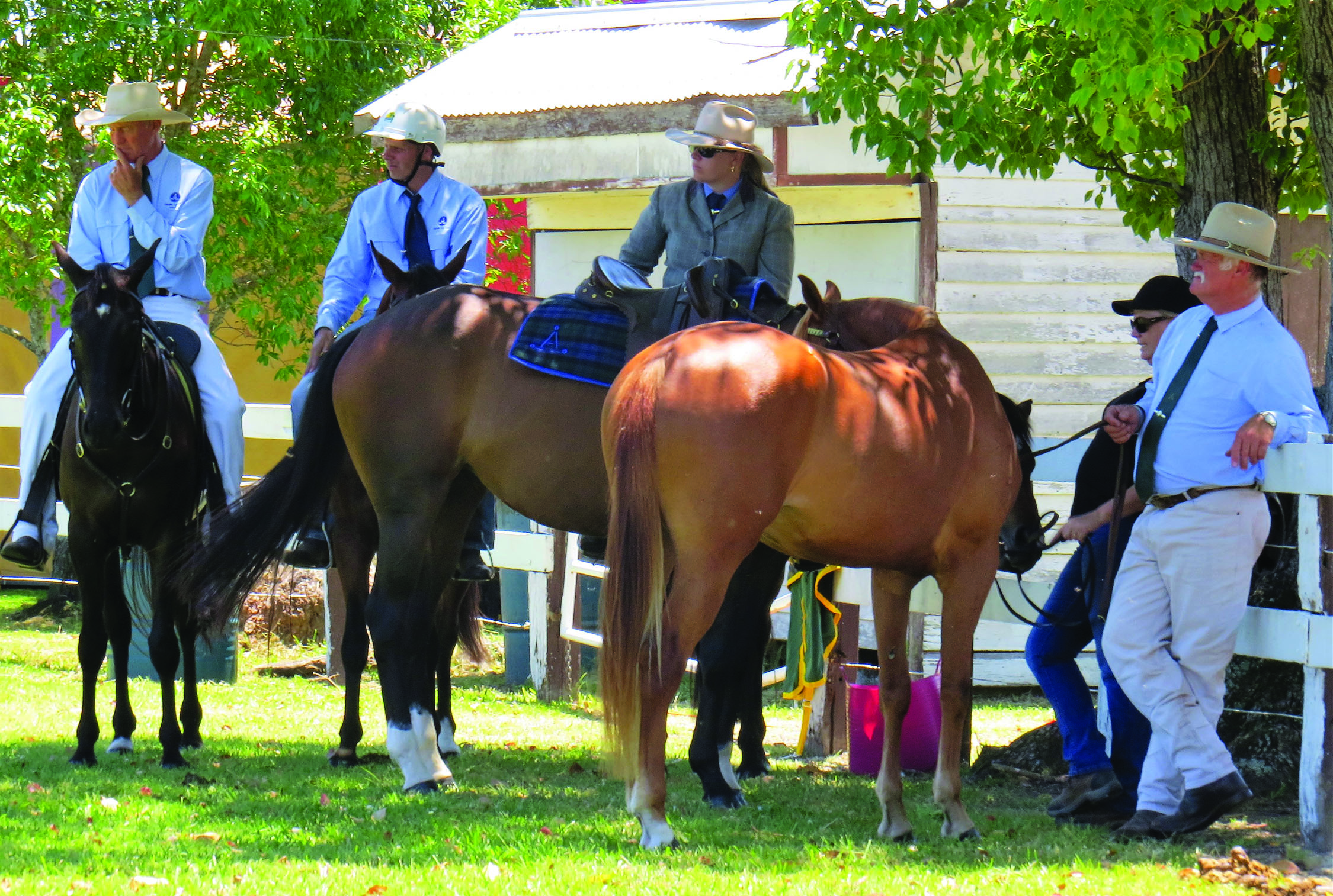 COMPETITORS: Horse events in the main arena