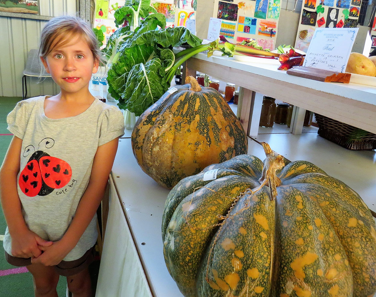 PRODUCE: Mindy Sullivan admires the pumpkins on show
