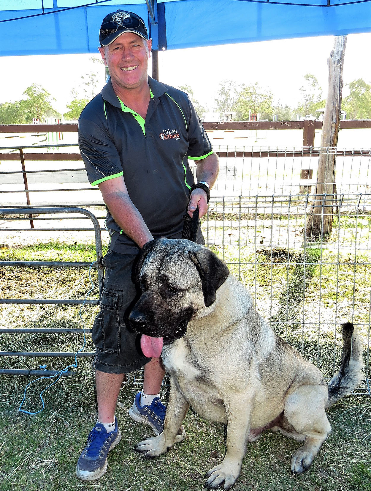 ANIMAL FARM: Scott McGuiness with one-year old Bruiser, an Anatolian Shepherd
