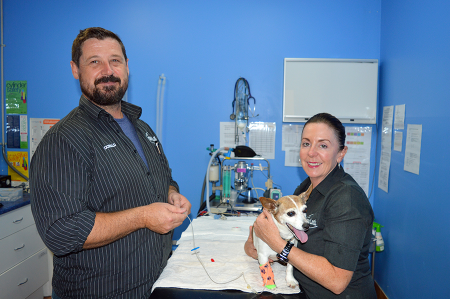 Dr Donald Hudson (Vet) and Ms Vicky Ireland (Vet Nurse) treat Pearl for a routine check up.