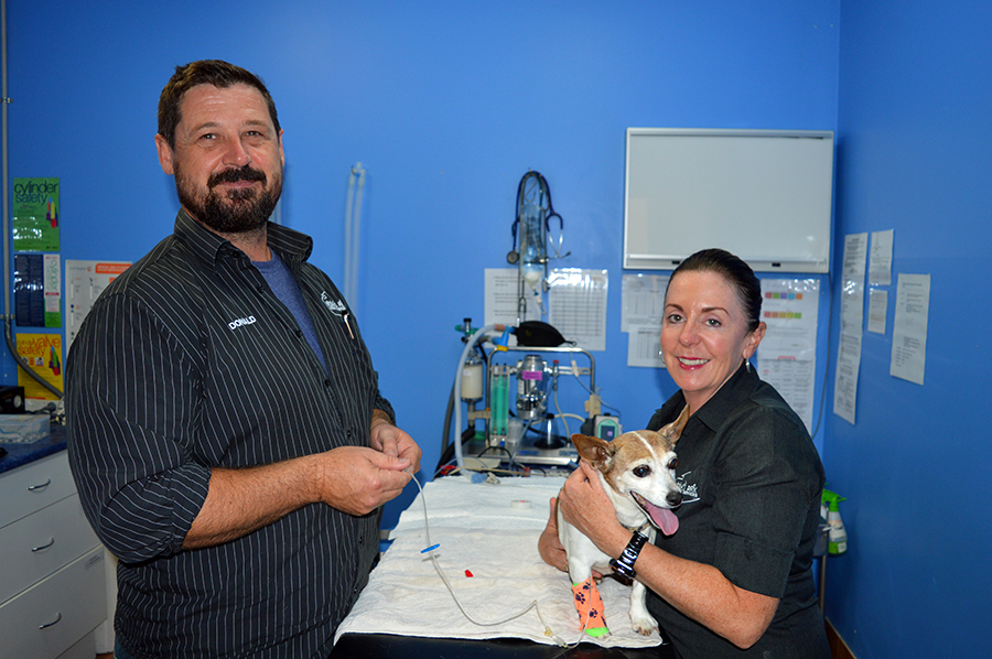 Dr Donald Hudson (Vet) and Ms Vicky Ireland (Vet Nurse) treat Pearl for a routine check up.
